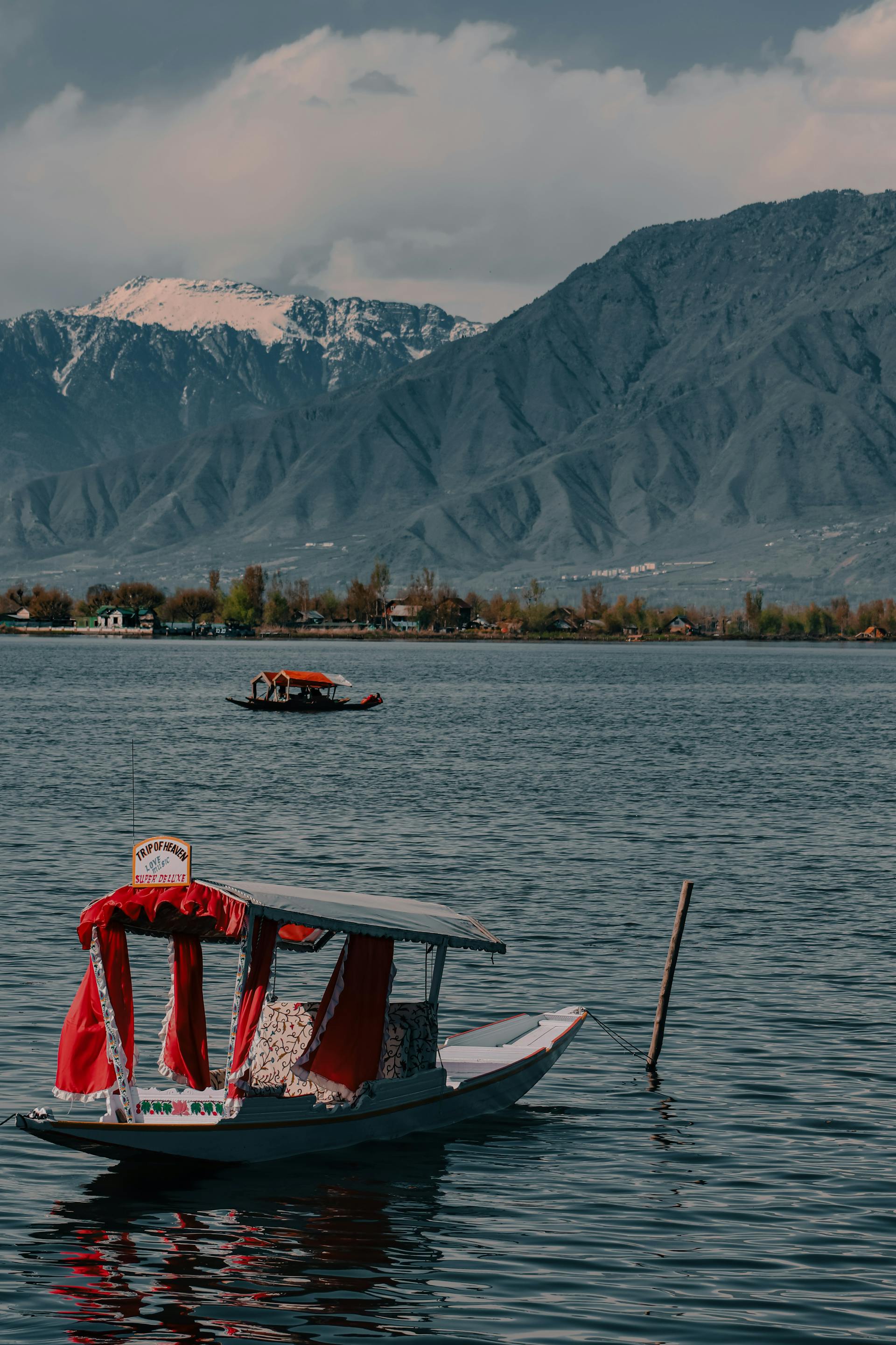 Shikara in dal lake on a sunny day